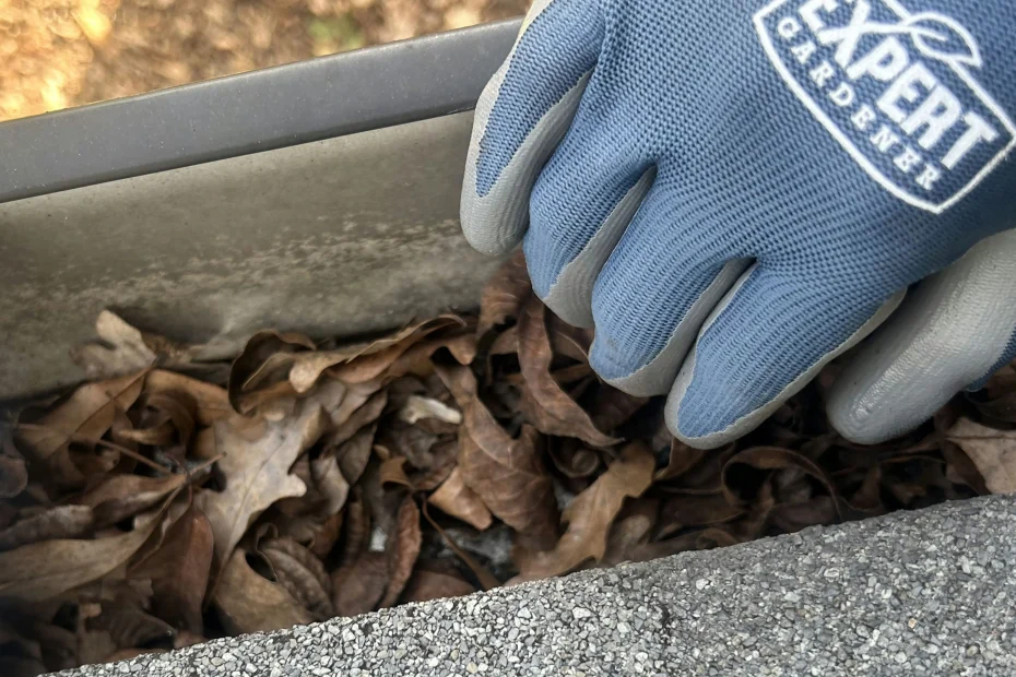 Robins Gutter Cleaning